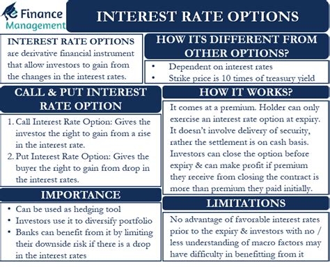 Robo.cash explained: 4 Income Options, Interest Rate and Loan .